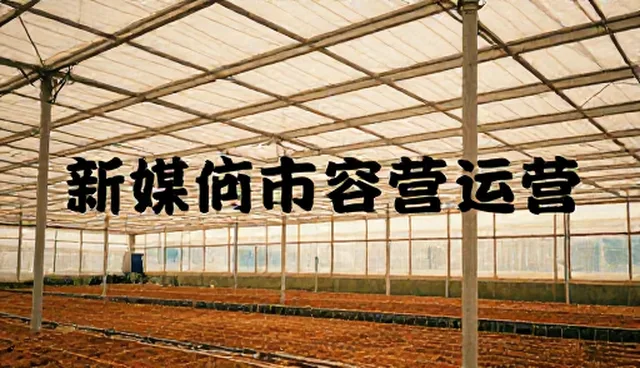 性能匹配如何影响媒介投放效果